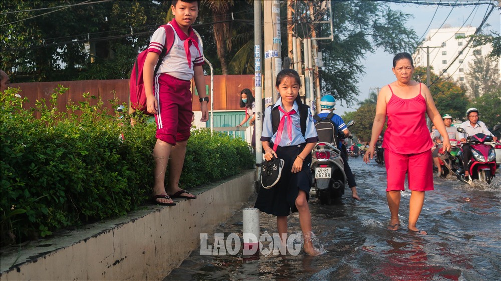 Ghi nhận tại Trường Tiểu học Bình Qưới (Quận Bình Thạnh, TP Hồ Chí Minh), nước ngập nửa bánh xe, nhiều phụ huynh chở con đi học phải dắt bộ do xe chết máy không thể đi được.