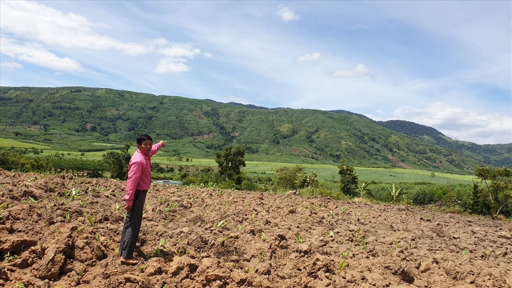 Không chỉ xây dựng trái phép, nhiều diện tích đất của người dân được thu hồi để thực hiện dự án nhưng đến nay chưa trả tiền đền bù. Ảnh: HL