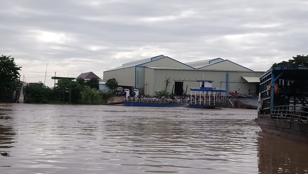 các em học sinh Việt Kiều ven biên giới phải qua đò chợ cũ tại xã Khánh An, huyện An Phú, tỉnh An Giang để dự khai giảng năm học 2019 - 2020.