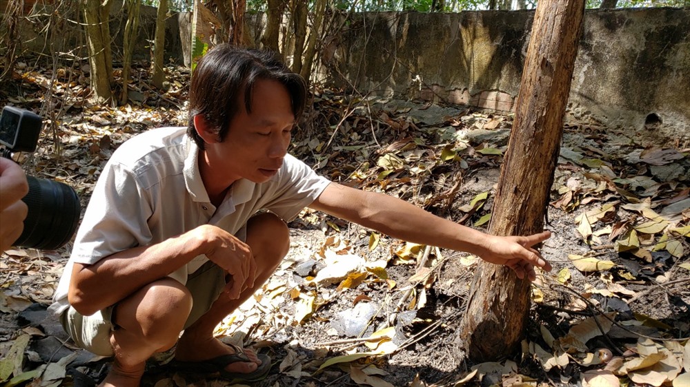 Gốc cây chuối nơi anh Phong thấy 2 sọ người.