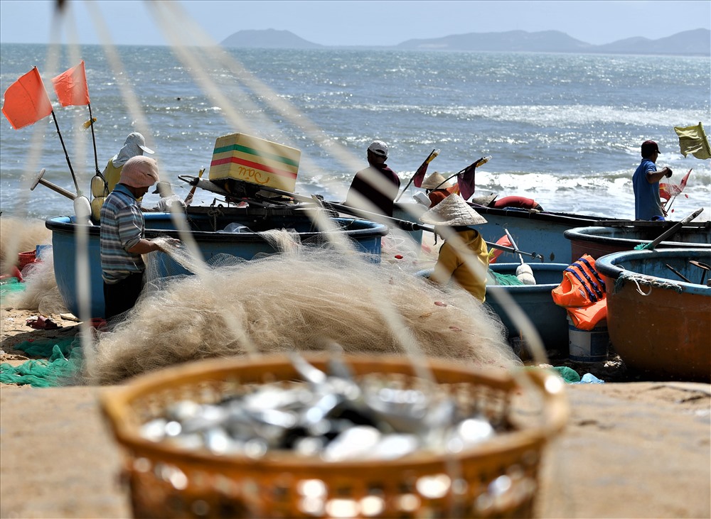 Niềm vui thu hoạch.