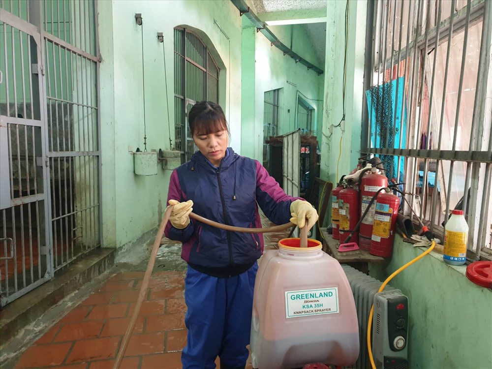 Thuốc sát trùng, vệ sinh chuồng nuôi nhốt. Ảnh: Phạm Đông