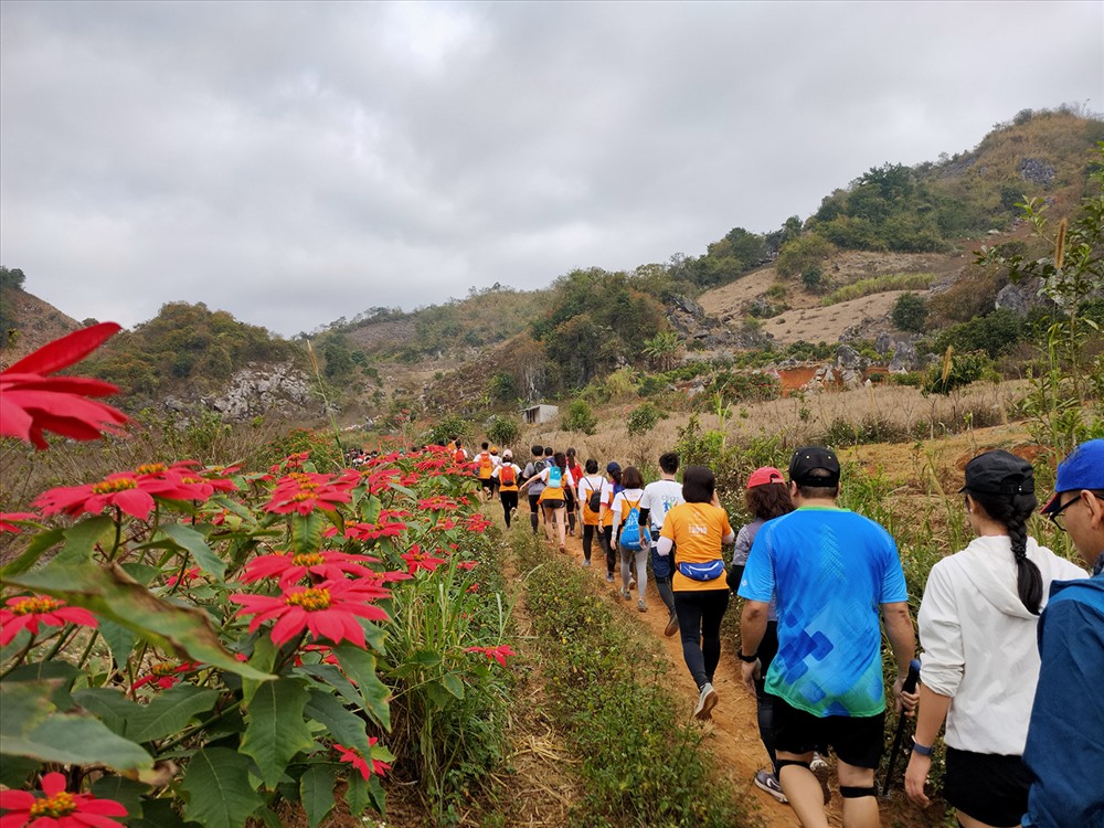 Cung đường chạy không thể thiếu những sắc hoa.