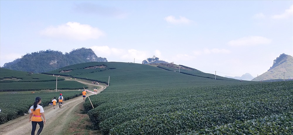 Phía xa là đích đến Đồi chè hình trái tim nổi tiếng ở Mộc Châu.
