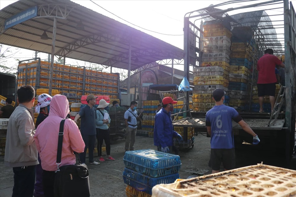 Không khí mua bán tập nập tại chợ đầu mối gia cầm Hà Vỹ những ngày cận Tết. Ảnh: Lan Nhi.
