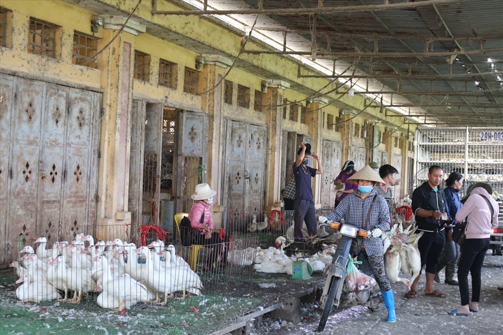 Càng vào dịp cuối năm, chợ gia cầm Hà Vỹ càng nhộn nhịp.