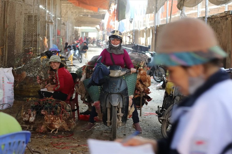 Sôi động cảnh mua, bán ở chợ gia cầm lớn nhất miền Bắc ngày cận Tết