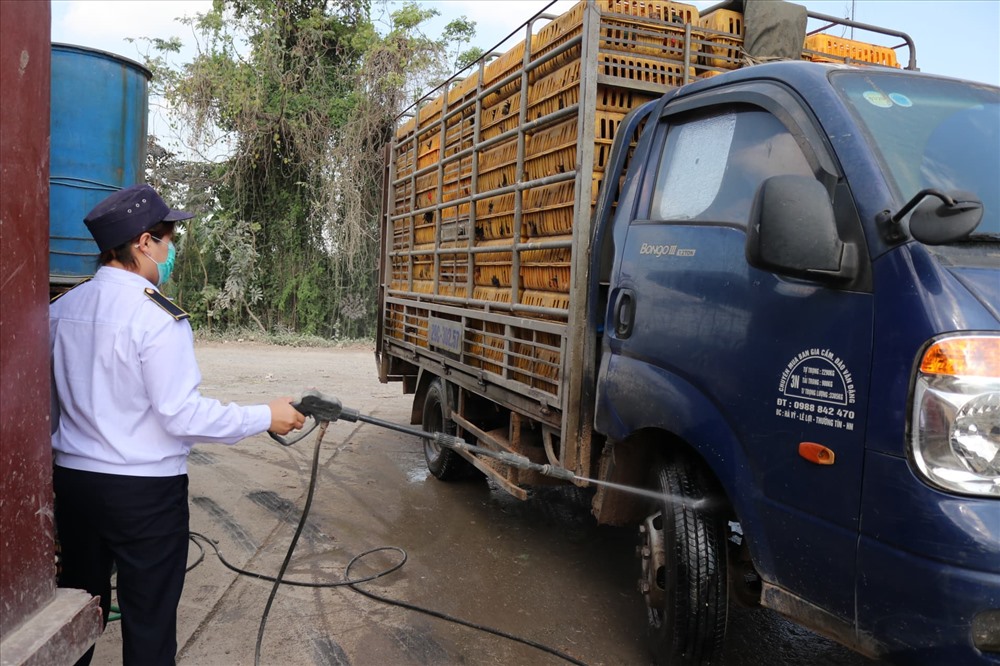 Công tác kiểm dịch, sát trùng được tiến hành 24/24 tại chợ gia cầm Hà Vỹ. Ảnh: Lan Nhi