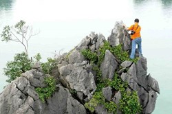 Người trèo bằng tay lên các ngọn núi giữa vịnh Hạ Long chụp ảnh