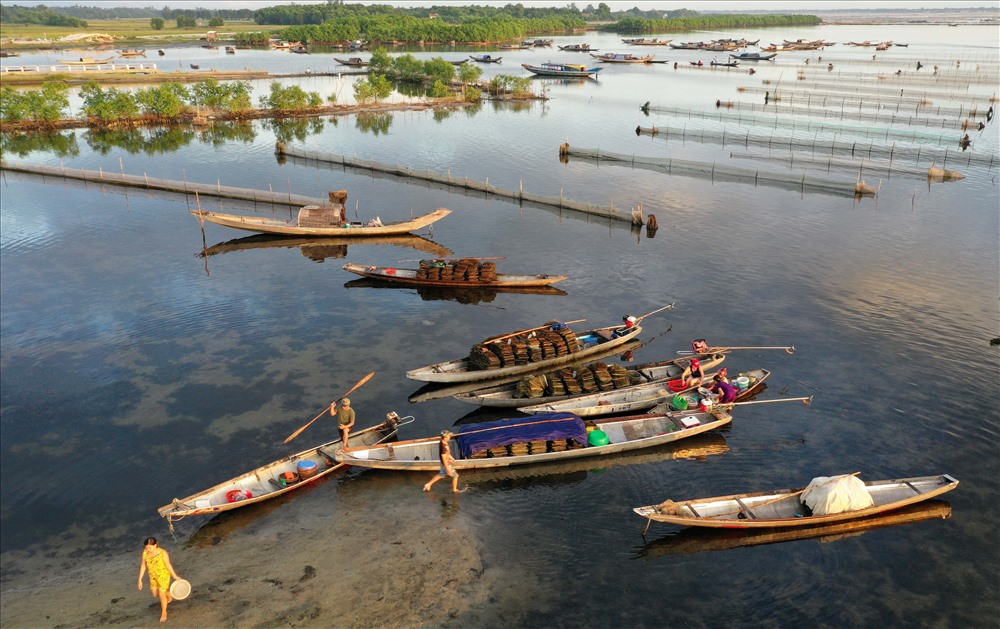 Chợ nổi Ngư Mỹ Thạnh (thuộc xã Quảng Lợi, Quảng Điền, Thừa Thiên - Huế) là một điểm đến vô cùng thú vị.