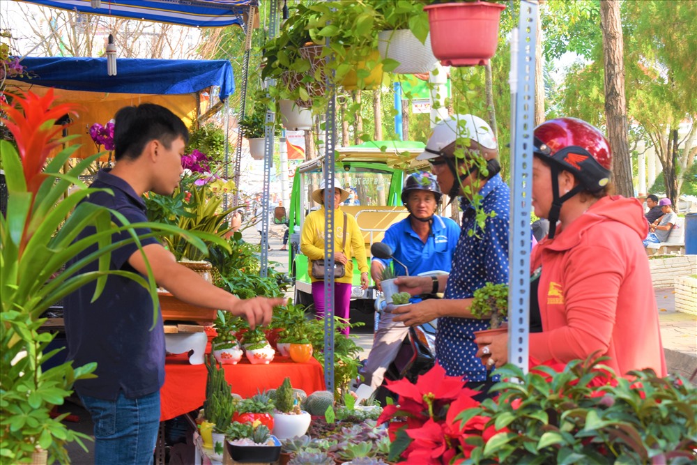Anh Phng Thanh Tun (qu¨º TP.Cn Th), ch sp hoa king nm tr¨ºn ng Hai B¨¤ Trng, TP.Cn Th cho bit: Th trng cy king nm nay nhn nhp hn nm ri. Nm nay, anh vn chuyn cy ph¨¢t t¨¤i gi¨¢ng long mua t H¨¤ Ni v gia cng v¨¤o chu v¨¤ b¨¢n TP.Cn Th. nh: Th¨¤nh Nhn