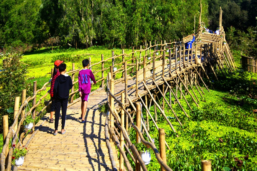 Cầu được cất cách điệu, nghệ thuật và chắc chắn. Ảnh: TĐSM