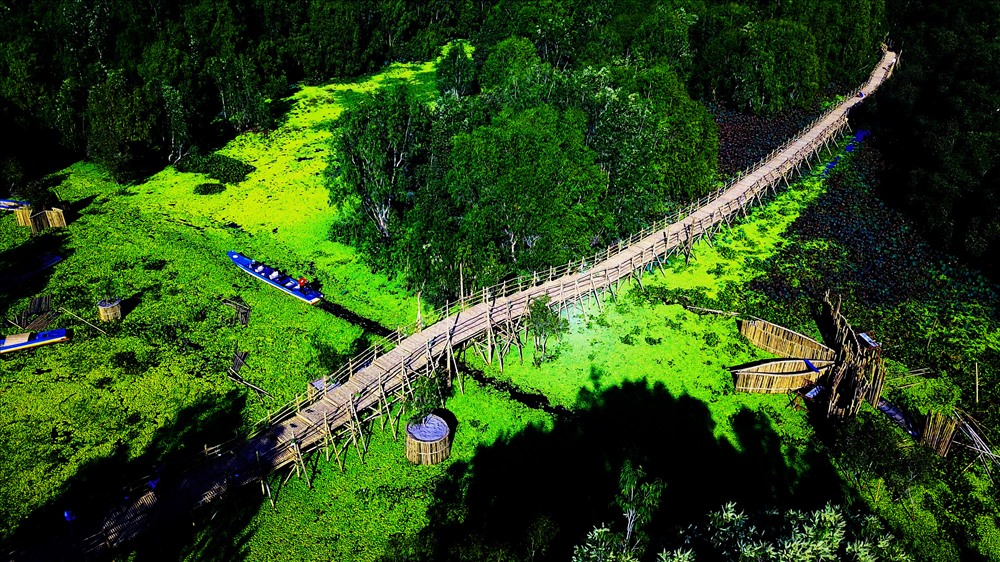 Cầu tre nhìn từ trên cao. Ảnh: TĐSM