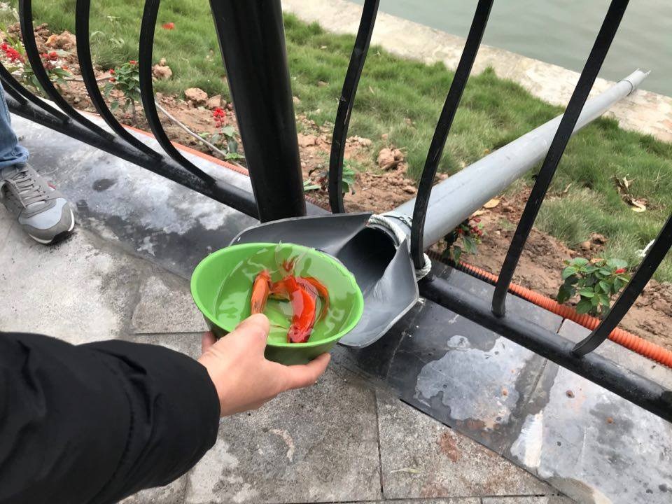 Việc thả cá chép qua ống nhựa để tiễn ông Công ông Táo khiến nhiều người vô cùng thích thú. Ảnh Dân Trí