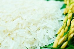 Hành trình đi tìm gạo ngon nhất thế giới