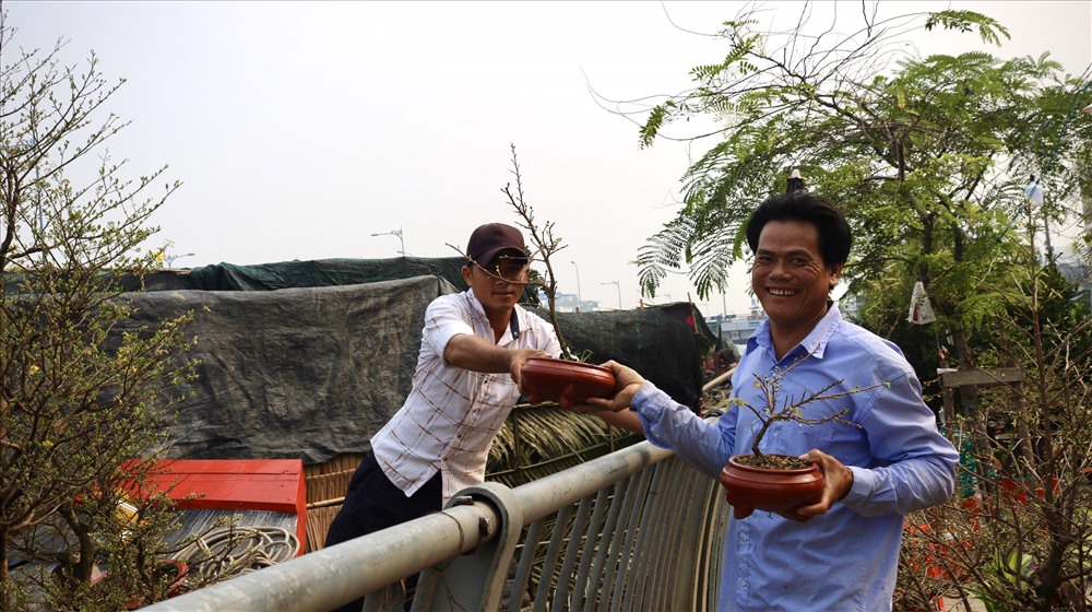 Anh Tuấn, quê ở huyện Chợ Lách, Bến Tre cho biết, thuyền vừa cập bến Bình Đông từ khuya qua, với một ghe đầy ấp hơn 200 gốc mai kiểng phục vụ cho mùa Tết năm nay.
