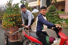 Xe ôm, xích lô kiếm tiền triệu mỗi ngày ở chợ hoa Tết