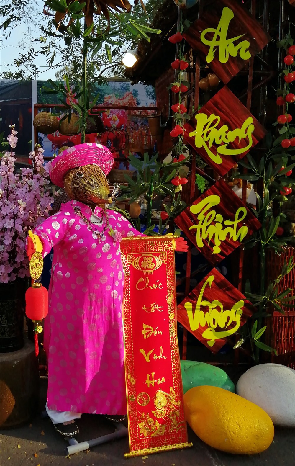 Thêm một “Cô chuột” cũng rất lạ (ảnh Nhậ Hồ)