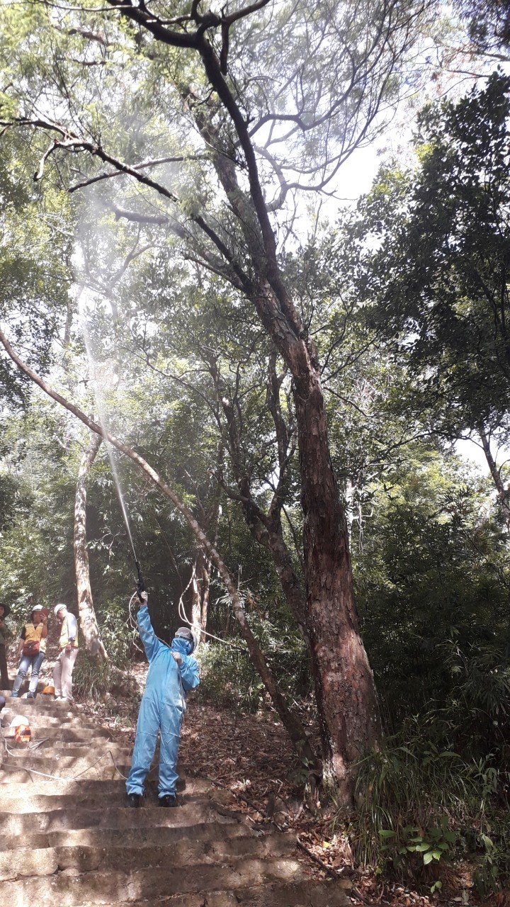 Phun thuốc diệt trừ sâu bệnh, nấm mốc. Ảnh: Nguyễn Hùng