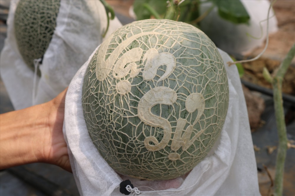 Những mẫu chữ cầu mong sự may mắn được ưa chuộng trong dịp tết như: an khang thịnh vương, vạn sự như ý, phúc lộc thọ, tài lộc,...