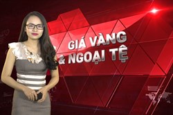 Giá vàng và ngoại tệ hôm nay 21.1: Cận tết, giá vàng vụt tăng