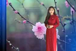 Bản tin Dự báo thời tiết mới nhất đêm nay và ngày mai 24.1 - giao thừa