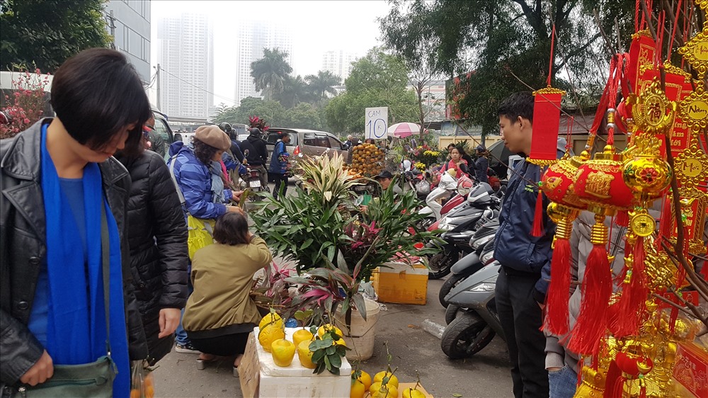 Trong khi hàng thực phẩm trong cảnh buôn bán ế ẩm, thì các quầy bán cây cảnh lại khá đông khách. Ảnh: Kh.V