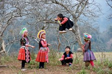 Những thú vui ngày Tết của trẻ em Mộc Châu