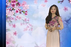 Bản tin Dự báo thời tiết mới nhất đêm nay và ngày mai 23.1 - 29 Tết