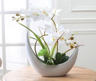 Lan hồ điệp chơi ngày Tết thường là cả chậu lớn khoảng 10 nhánh. Ảnh: ST.