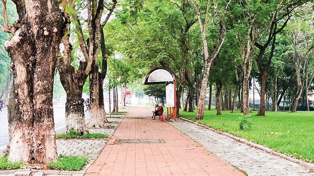 Góc phố sạch sẽ dễ thương của Huế. -Ảnh: Phan Thiên Định