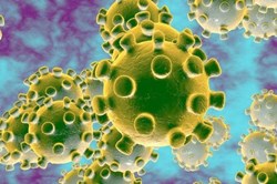 Bác sĩ mách nước ngừa viêm phổi do virus corona