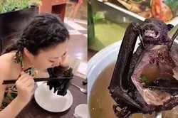 Nóng nhất hôm nay: Súp dơi của Trung Quốc, nguồn nghi gây dịch viêm phổi lạ