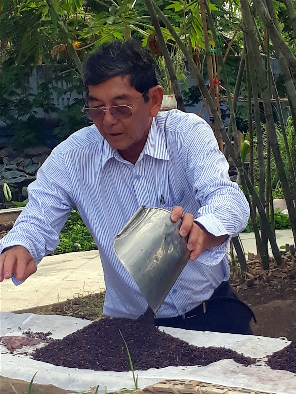 Ở đỉnh vinh quang, ông Hồ Quang Cua vẫn chưa thôi nghiên cứu tìm ra hạt gạo chất lượng phục vụ người dân (ảnh Nhật Hồ)