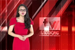 Bản tin 1 phút 28.1: Người nhiễm virus corona đầu tiên tại Việt Nam đã khỏi