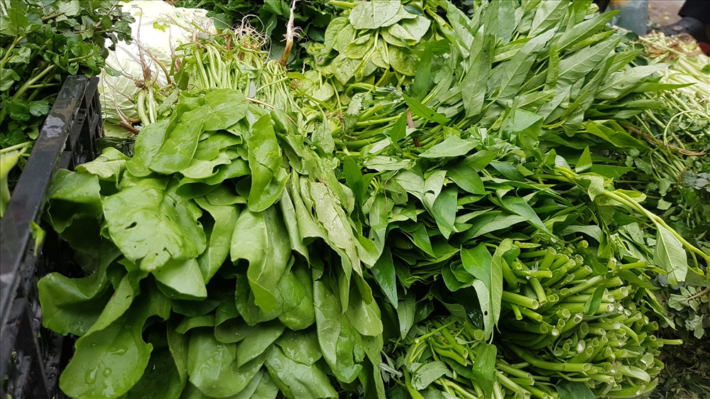 Một mớ rau muống có giá 25.000-30.000 đồng. Ảnh: Kh.V