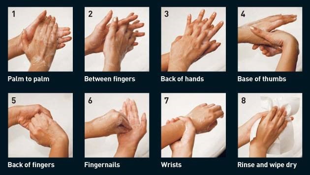 Các bước rửa tay đúng cách. Ảnh: AO.