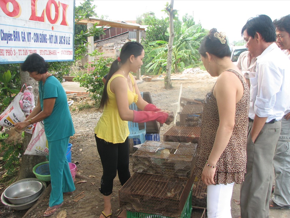 Một điểm bán chuột đồng bên QL62 qua vùng Đồng Tháp Mười. Ảnh: K.Q