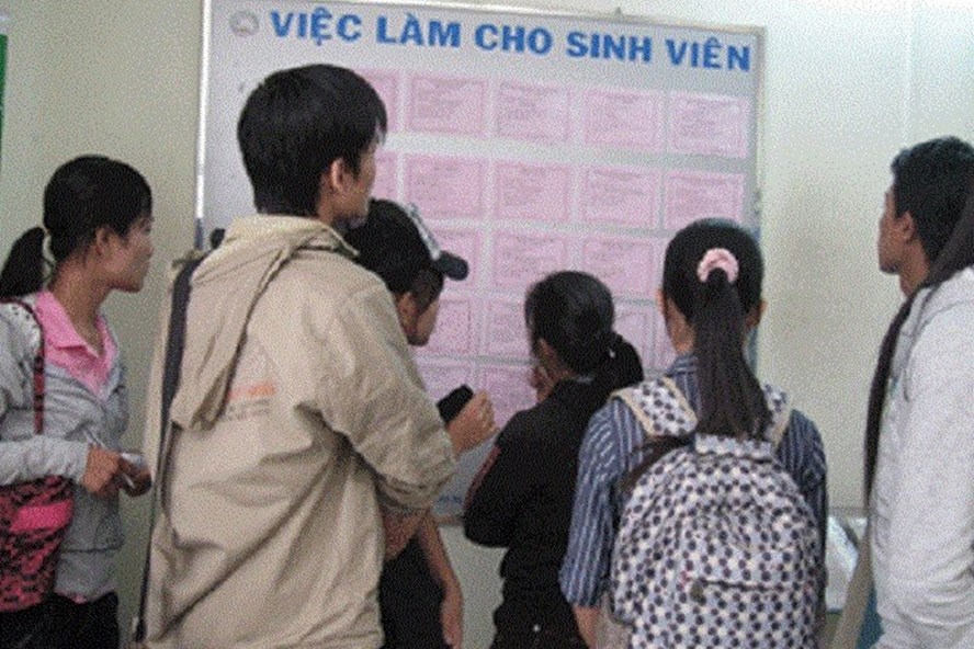 Nhiều trường đại học khi làm khảo sát thì có tới 50-70% sinh viên có nhu cầu tìm việc làm thêm.