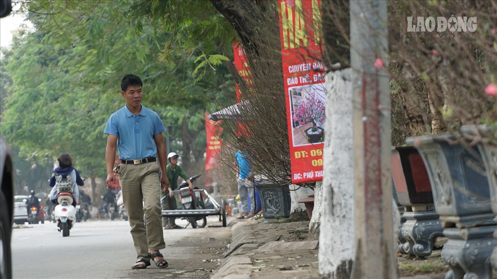 Tại đường Lạc Long Quân vốn nổi tiếng với các làng nghề đào quất, những ngày này không gian vỉa hè dành cho người đi bộ cũng đang được các hộ kinh doanh tận dụng tối đa để trưng bày những chậu đào, chậu quất bán phục vụ dịp Tết Nguyên đán.