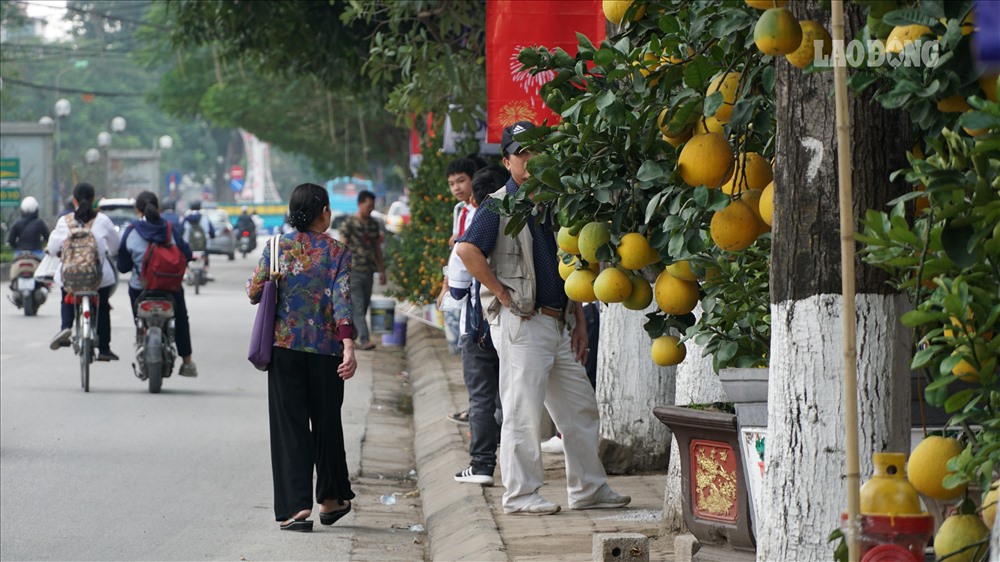 Bà Hương sống quanh khu vực đường Lạc Long Quân chia sẻ: “Mấy ngày giáp Tết ở trên vỉa hè toàn bị chiếm dụng để phục vụ cho bán hàng nhất là những người bán hàng cây cảnh, chúng tôi cũng chẳng chỗ đi bộ đành phải đi xuống lòng đường, cũng bức xúc nhưng Tết người ta tận dụng nên chẳng biết làm thế nào.”