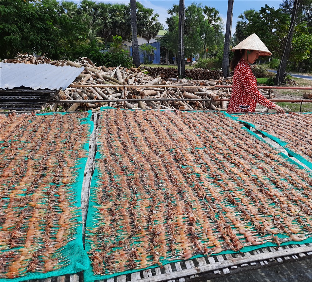 Dàn khô nhái đang được người chủ kiểm tra độ khô. Ảnh: PT