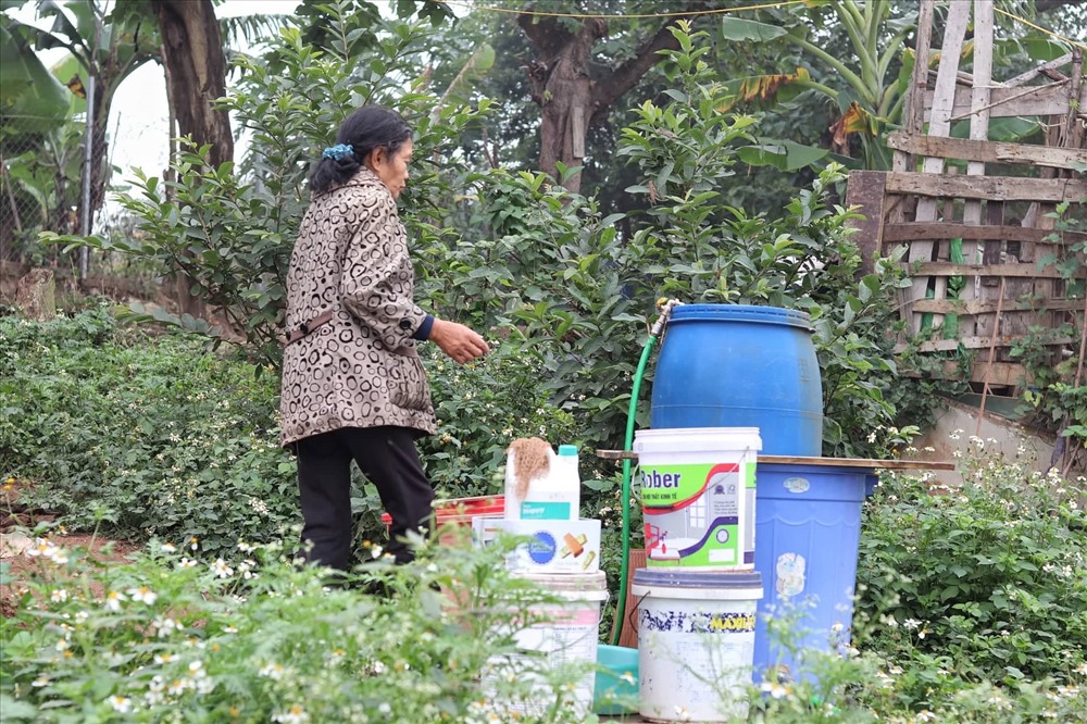 Với các hộ dân ở đây thì ngày Tết cũng giống như ngày thường.