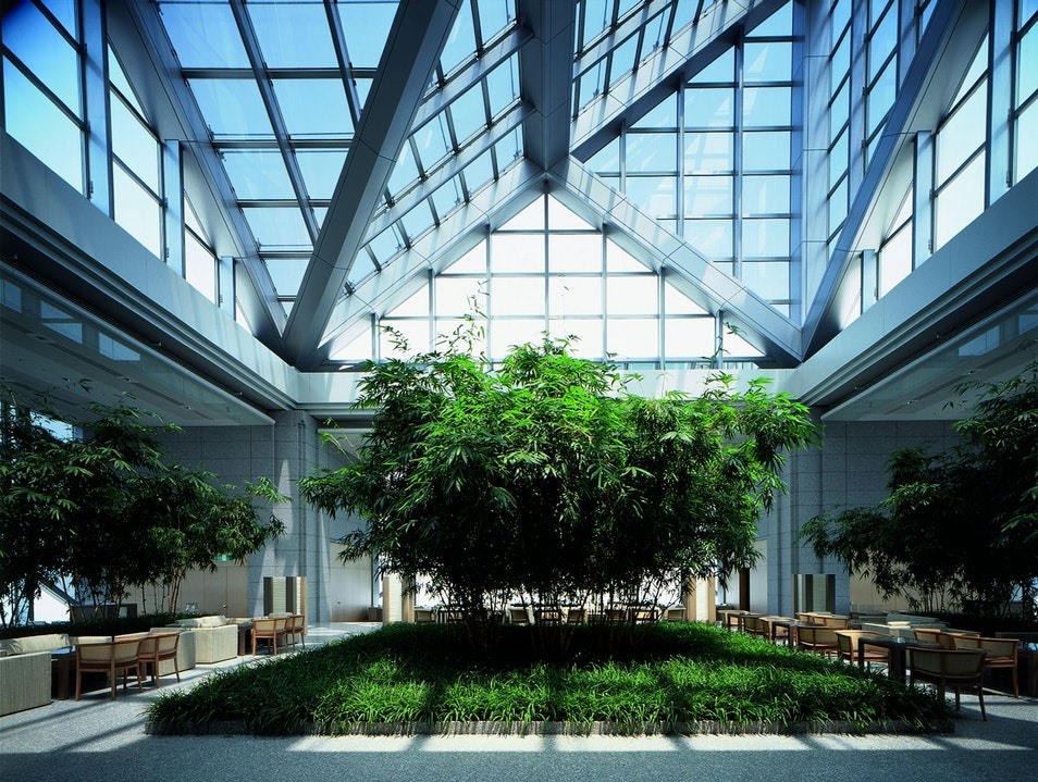 Khu vườn tầng thượng của khách sạn Park Hyatt Tokyo, bối cảnh bộ phim Lost in Translation