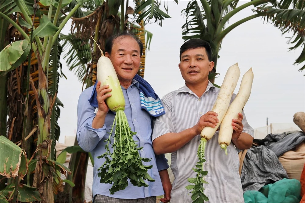 Với sự nỗ lực không ngừng, “chúa đảo” đã được bình chọn là một trong 63 nông dân tiêu biểu của cả nước năm 2019.