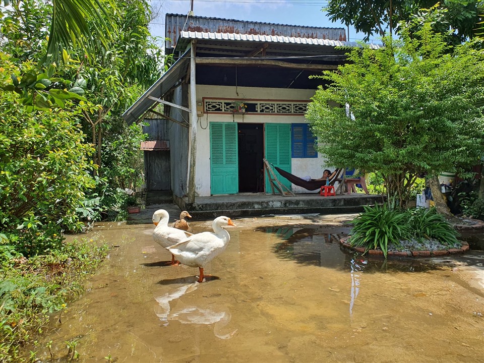 Hàng chục nhà dân trong khu dự án mỏi mòn chờ giải tỏa (ảnh Nhật Hồ)