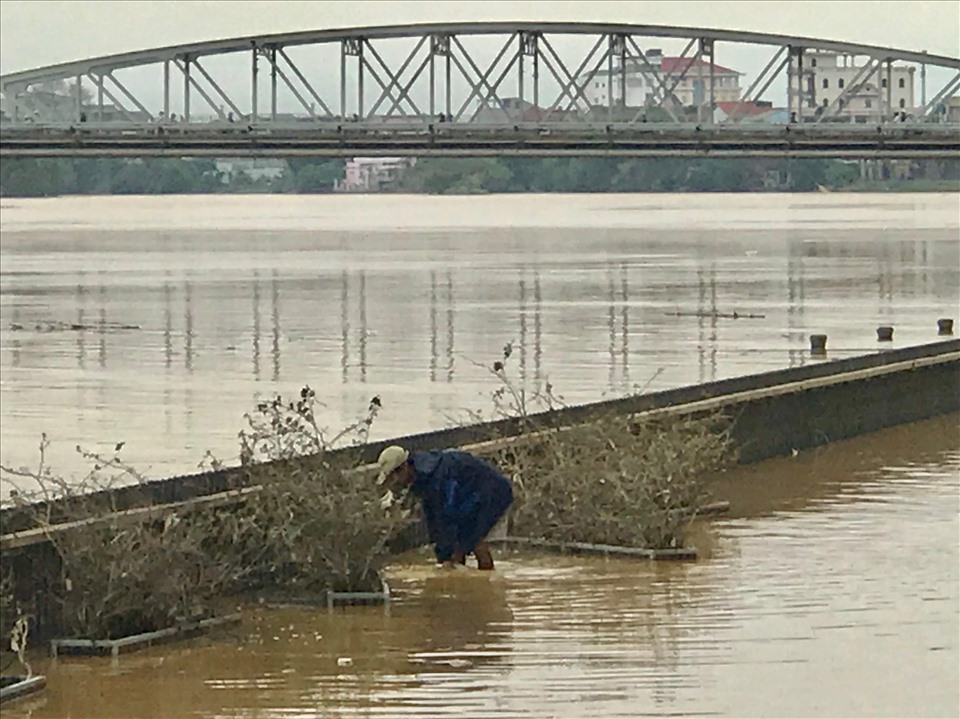Anh Nguyễn Văn Minh, nhân viên Công ty Cây xanh Huế cho biết việc dọn rác sẽ được “cuốn chiếu” theo kiểu nước rút đến đâu dọn dẹp đến đó.