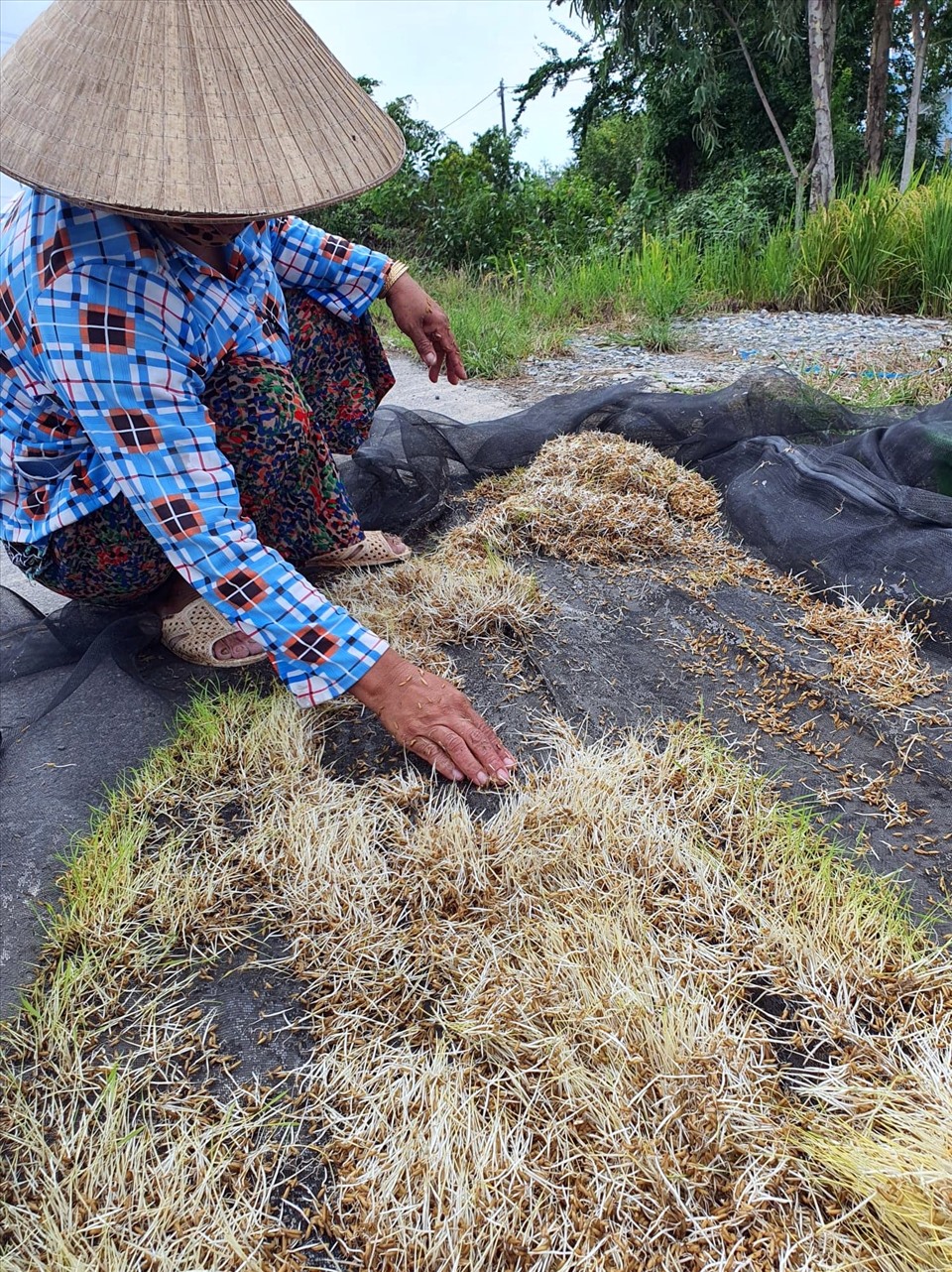 Thiệt hại do mưa bão kéo dài là rất lớn (ảnh Nhật Hồ)