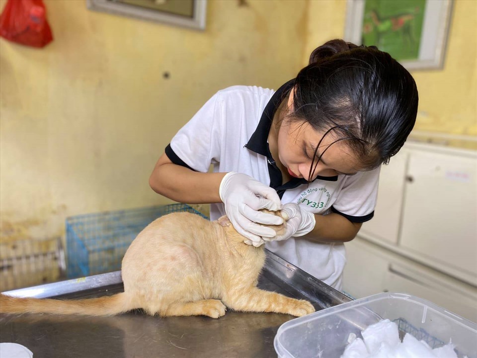 Trạm cứu hộ đã được thành lập cách đây 5 năm.