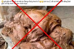 Tin giả về bão lũ gây hậu quả nghiêm trọng như thế nào?